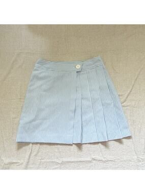 blue and white pinstriped vintage mini skirt